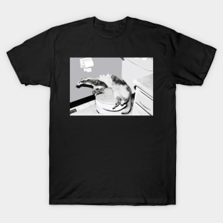 Asleep On The Throne T-Shirt